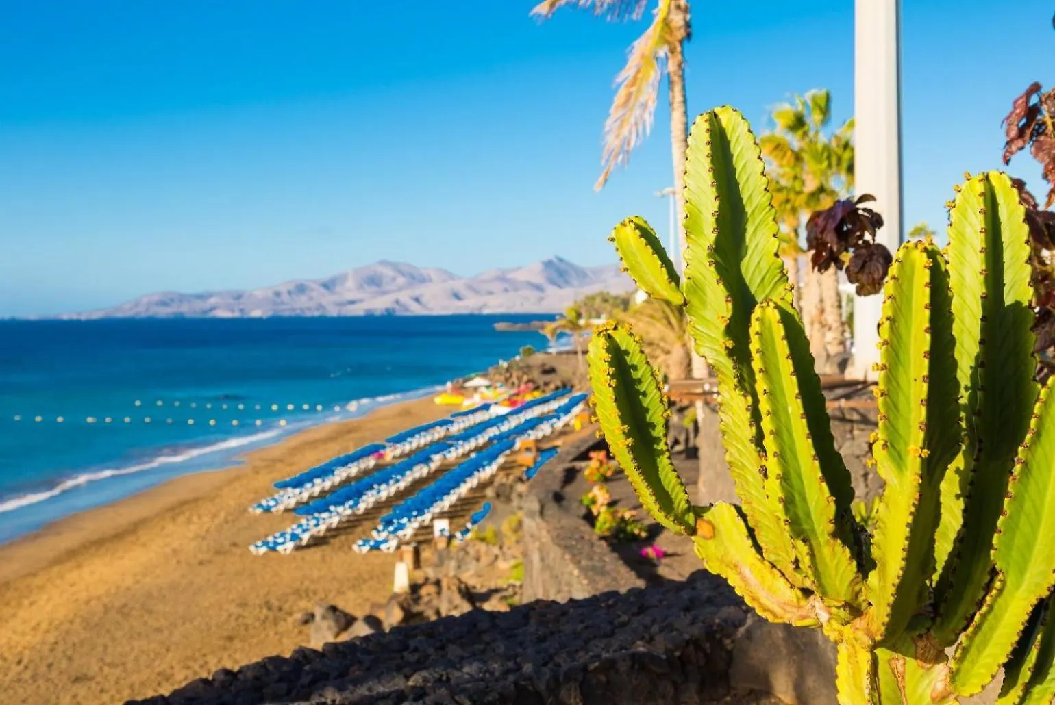 Villa Isla De Lobos Пуэрто дель Кармен